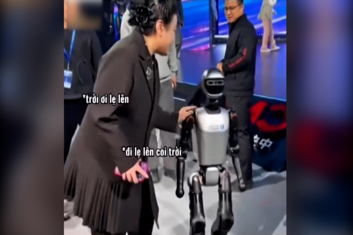 Robot hình người 'dỗi' vì bị đẩy ngã
