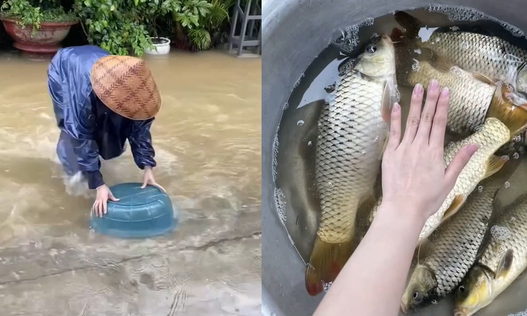Bà con Huế đua nhau bắt cá khi nước lũ về