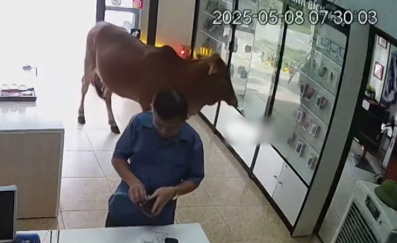 'Khách sộp' dỗi vì bị mời ra khỏi cửa hàng điện thoại