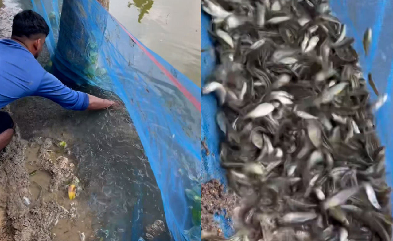 Chặn lưới tóm gọn mẻ cá khủng
