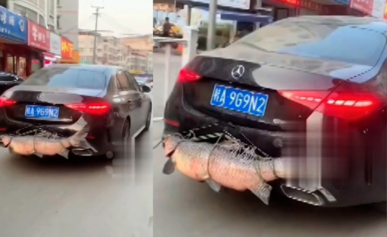 Lái Mercedes quanh thành phố khoe bắt được cá khủng