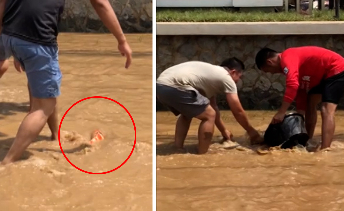 Người dân bắt cá koi trên đường ở Thái Lan