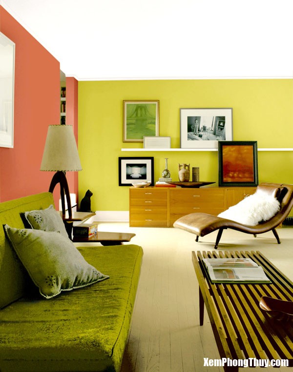 trang-tri-nha-theo-phong-thuy-cho-nguoi-tuoi-dan